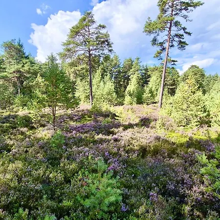 Сasa de vacaciones Merejuula Puhkemaja Noarootsi