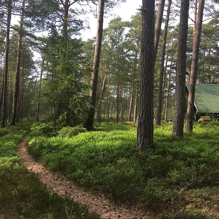 펜션 Merejuula Puhkemaja