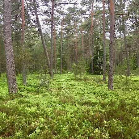 Merejuula Puhkemaja Semesterbostad