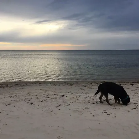 Merejuula Puhkemaja Semesterbostad *