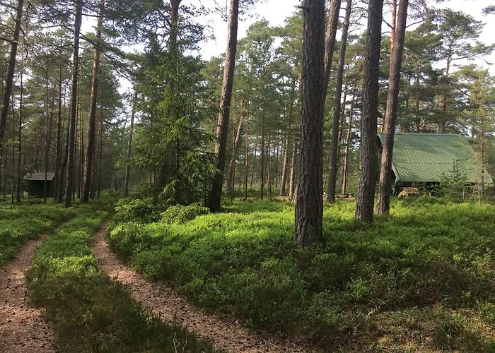 Hébergement de vacances Merejuula Puhkemaja