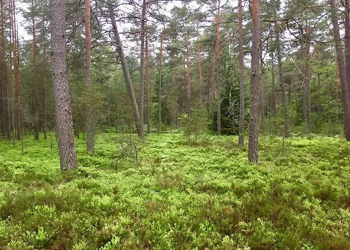 Merejuula Puhkemaja Hébergement de vacances