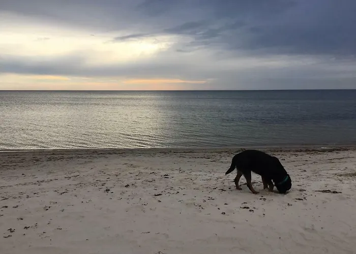 Merejuula Puhkemaja Hébergement de vacances *